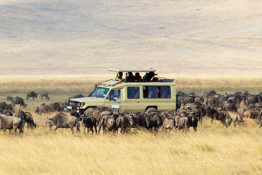 Experience the Beauty of Tanzania’s Serengeti National Park