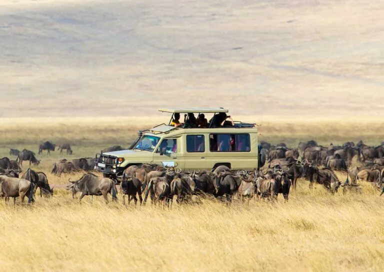 Tanzania’s Serengeti National Park