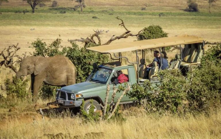 traveling to africa