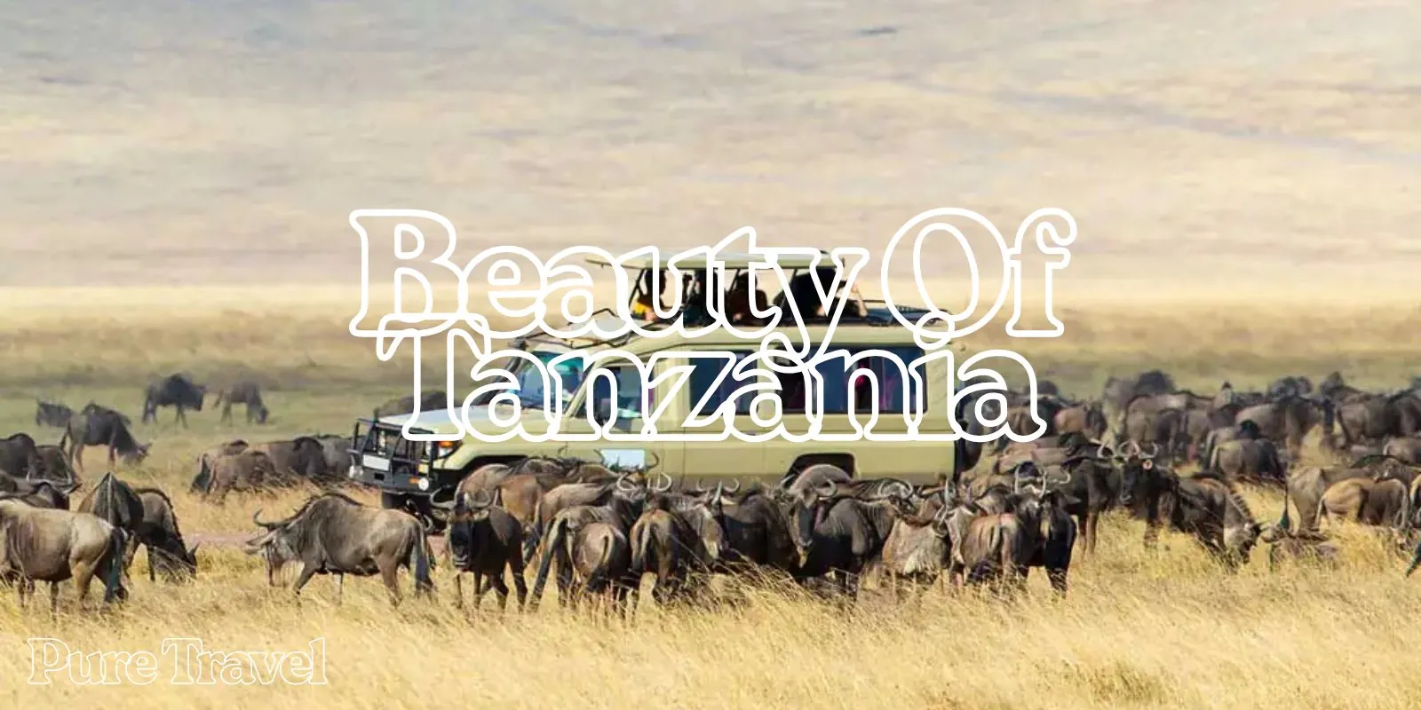 Beauty of Tanzania