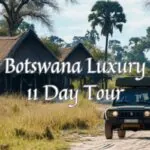 Botswana Luxury 11 Day Tour