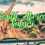 South Africa Safari