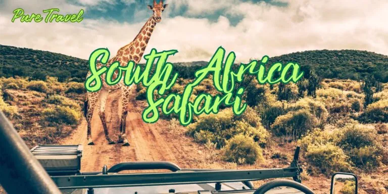Heart Of The Wild: Exploring South Africa’s Safari Secrets