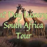 12 Day Luxury South Africa Tour