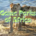 Game Parks of Africa