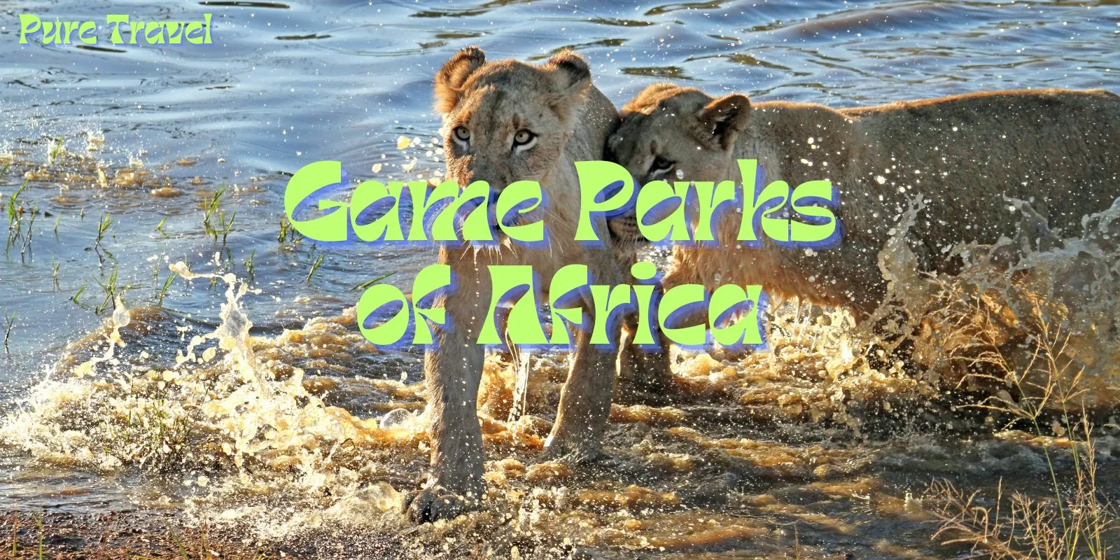 Game Parks of Africa