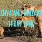 Kenya and Tanzania 14 Day Tour