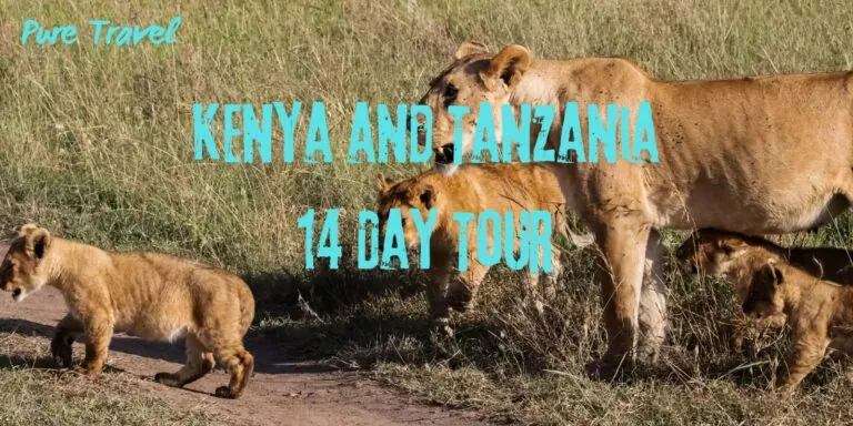Kenya And Tanzania 14 Day Tour: Explore The Great Migration